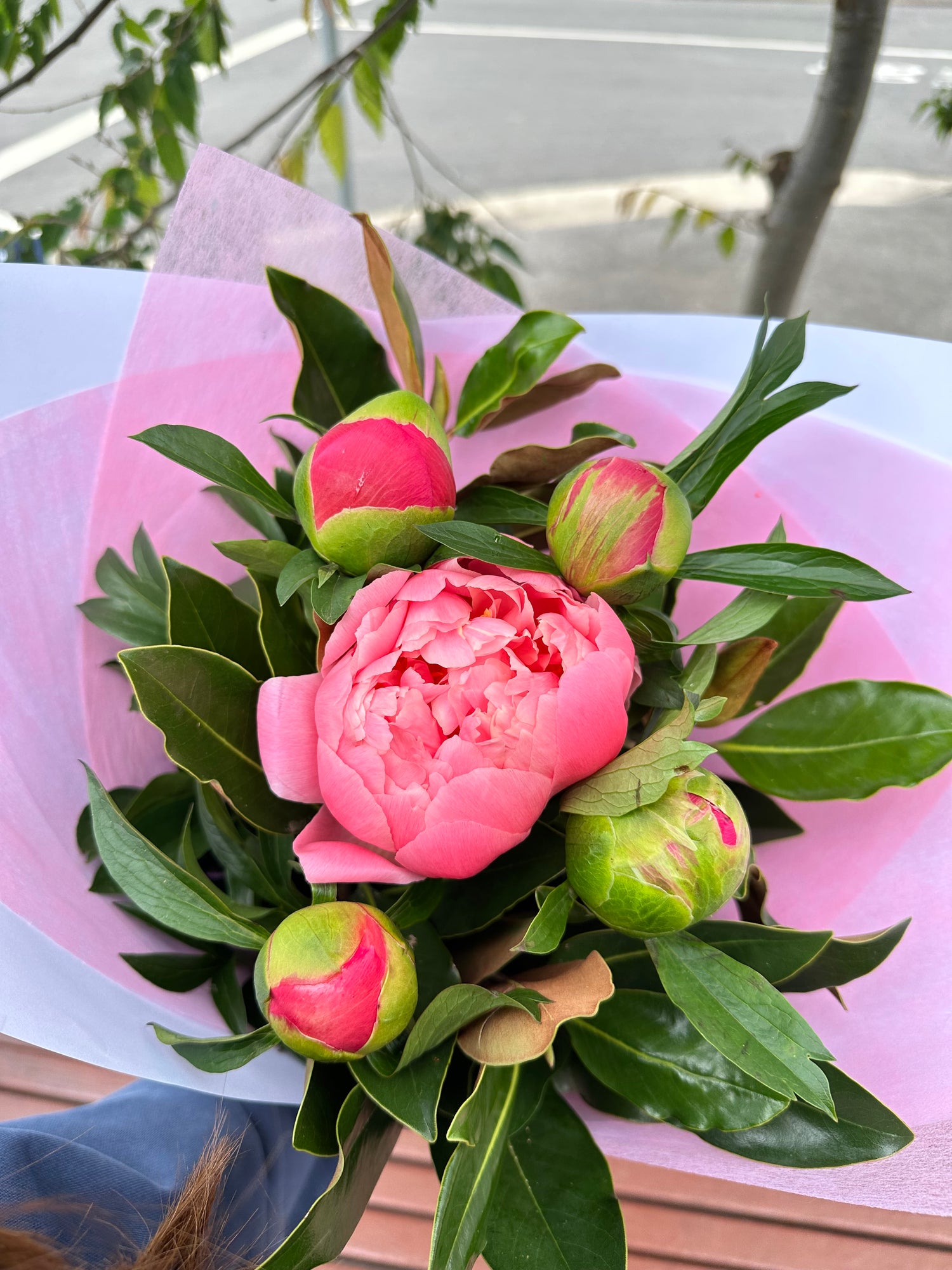 (New! Limited) Coral Peony bunch - Vermont Florist