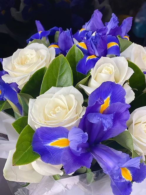 Elegancy (white rose and blue iris box) - Vermont Florist