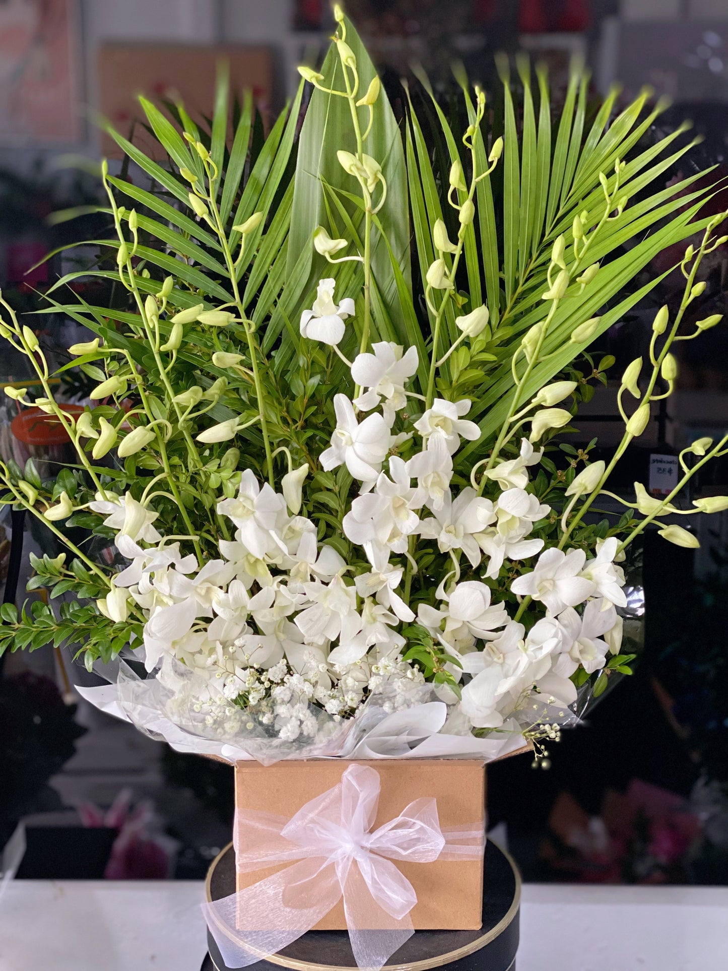 White Singapore orchid box arrangement Large - Vermont Florist
