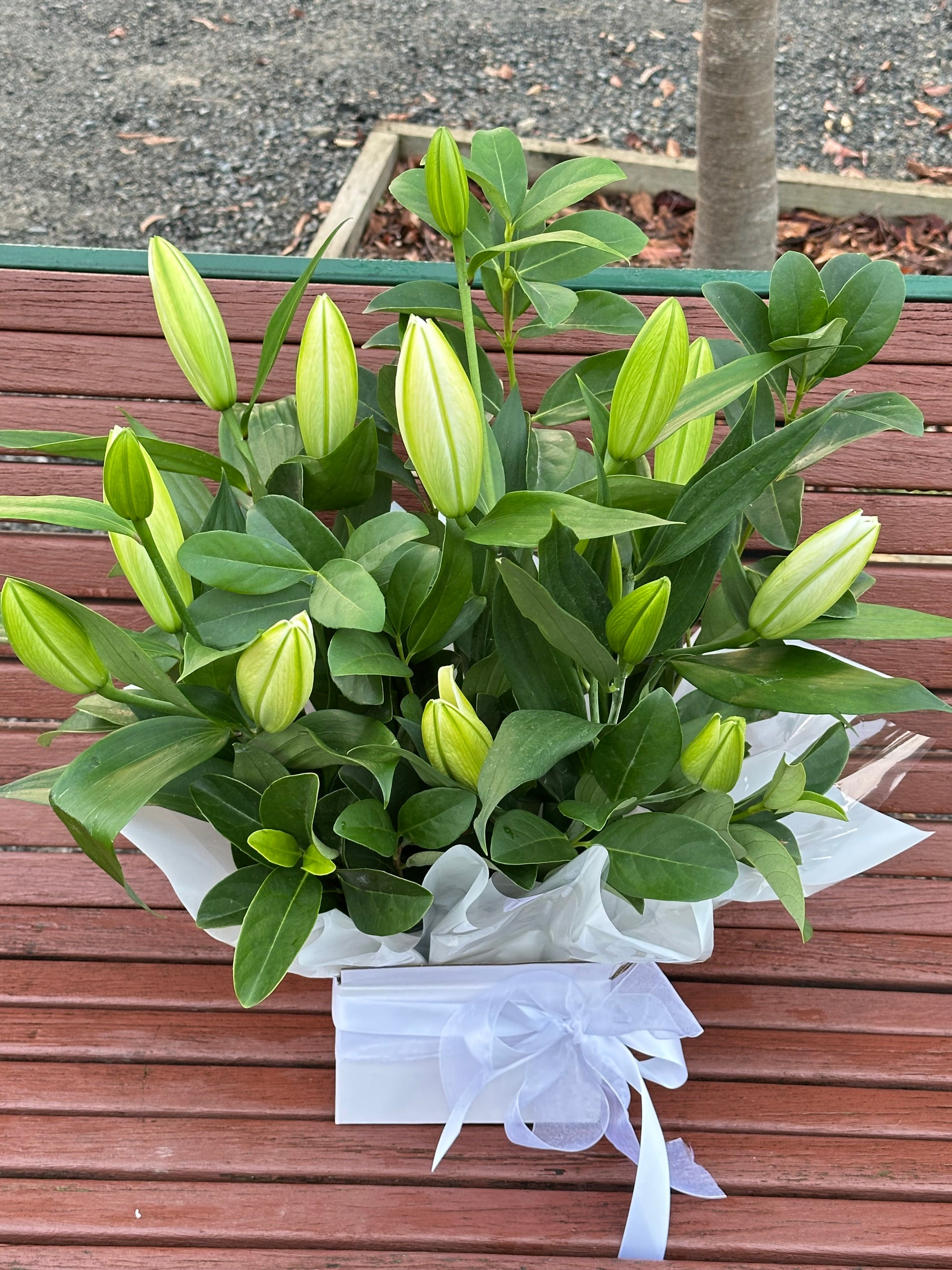 White oriental lily box - Vermont Florist