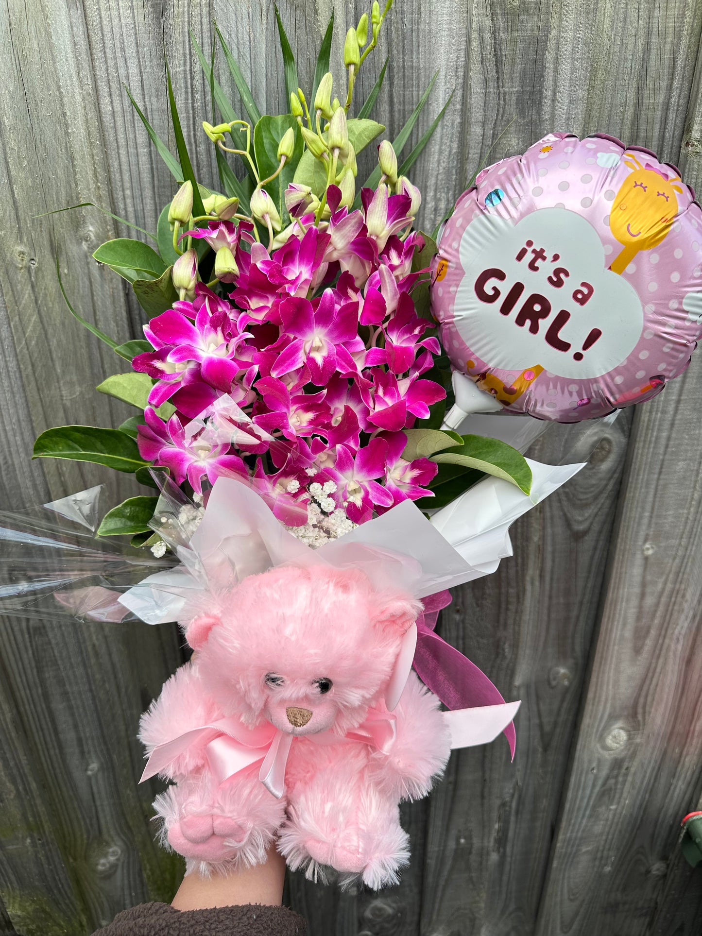 Baby girl hot pink orchid gift bundle - Vermont Florist