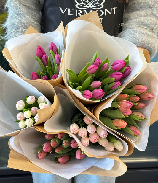 Fresh tulip bunch