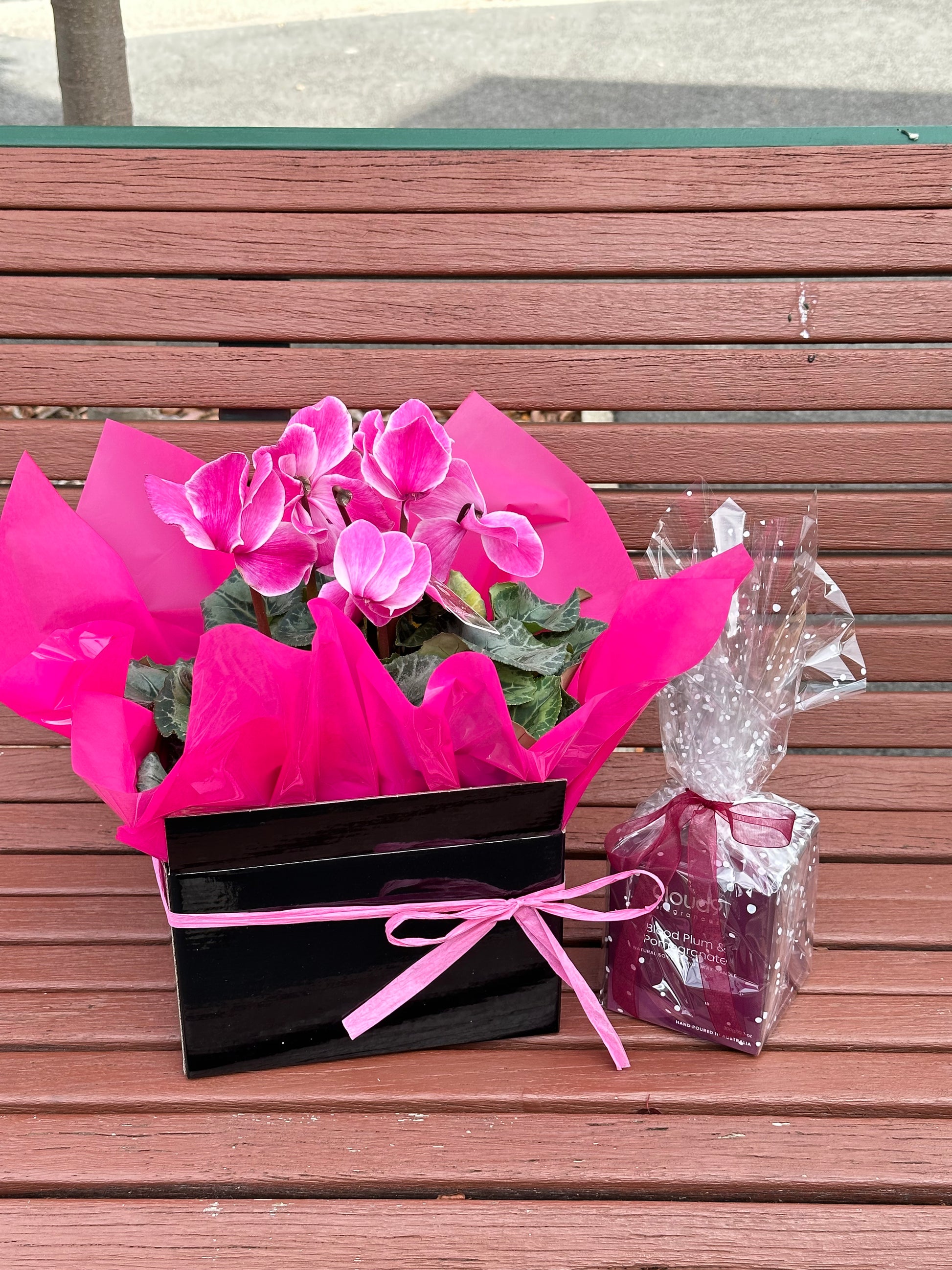 Large gift box cyclamen plant with scented candle bundle - Vermont Florist