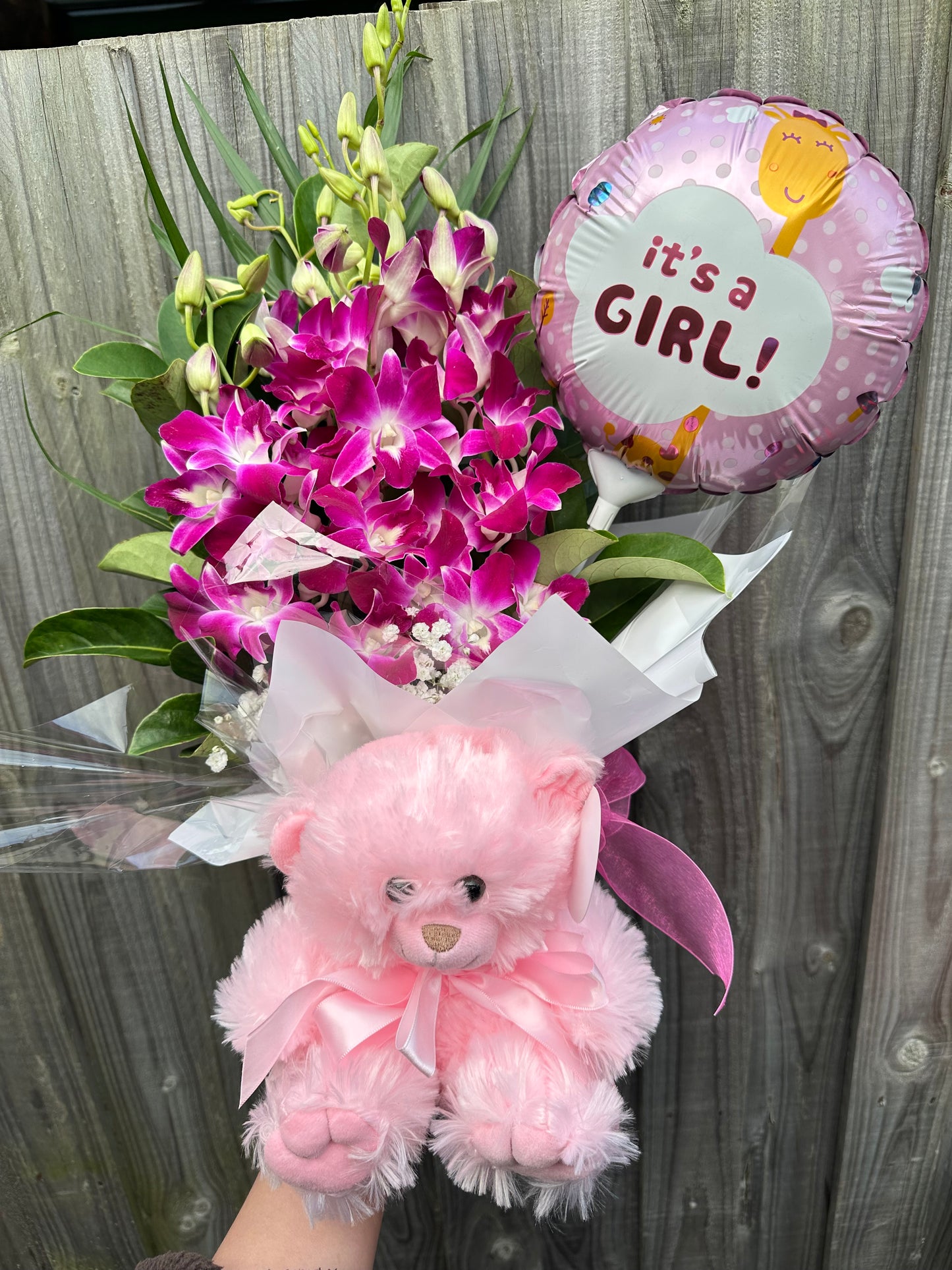 Baby girl hot pink orchid gift bundle - Vermont Florist