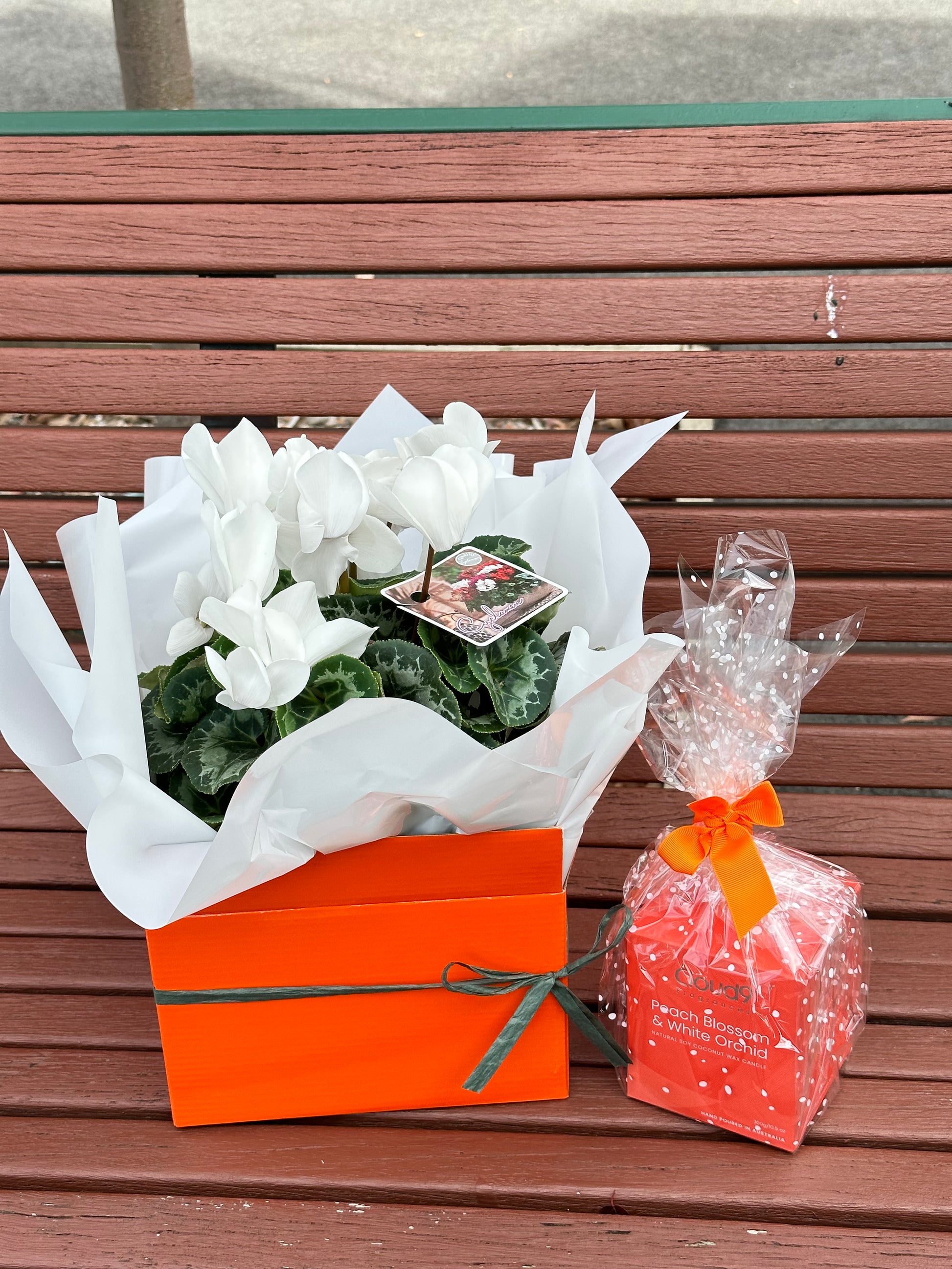 Large gift box cyclamen plant with scented candle bundle - Vermont Florist