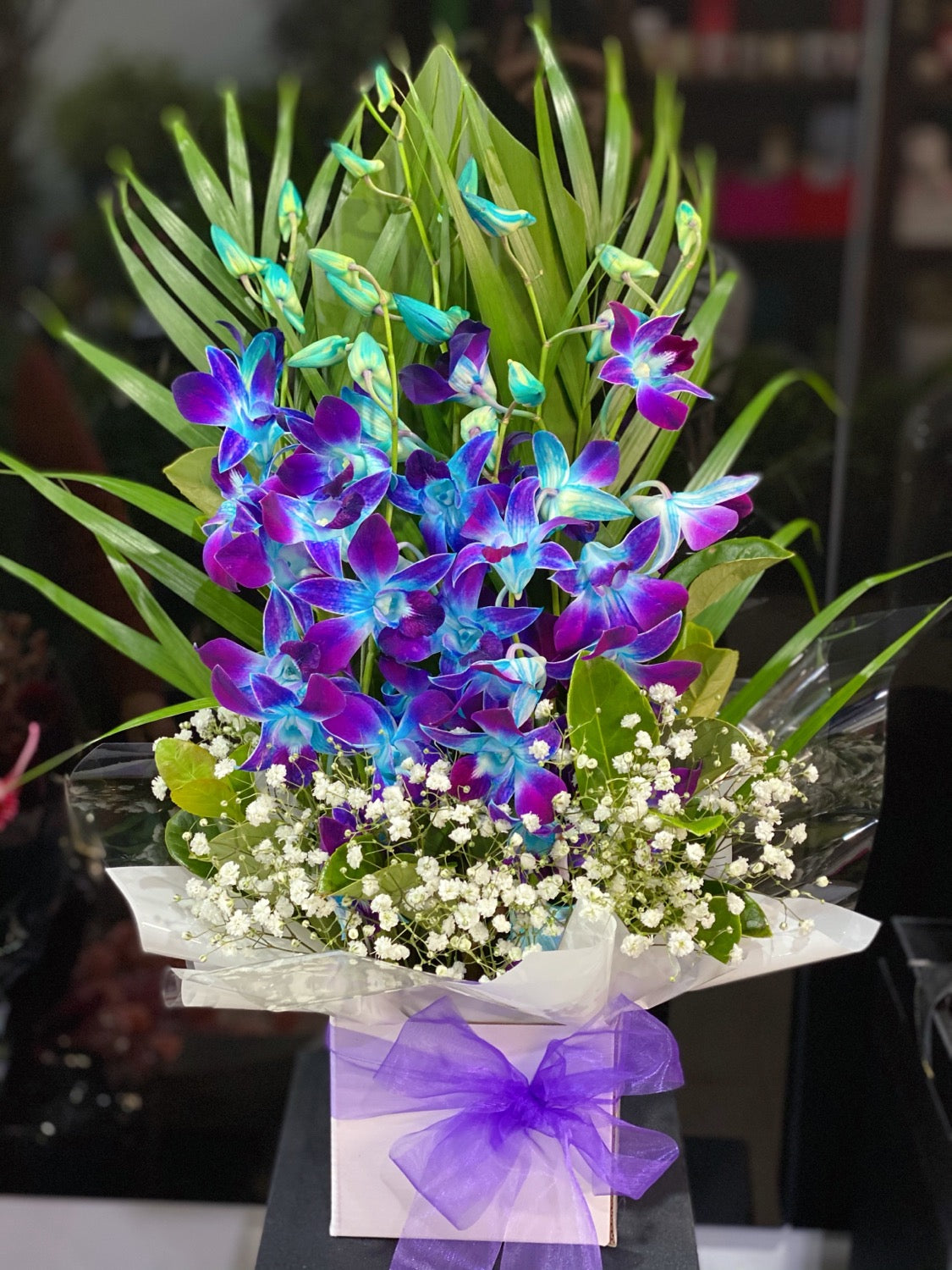 Singapore orchid Box - Vermont Florist