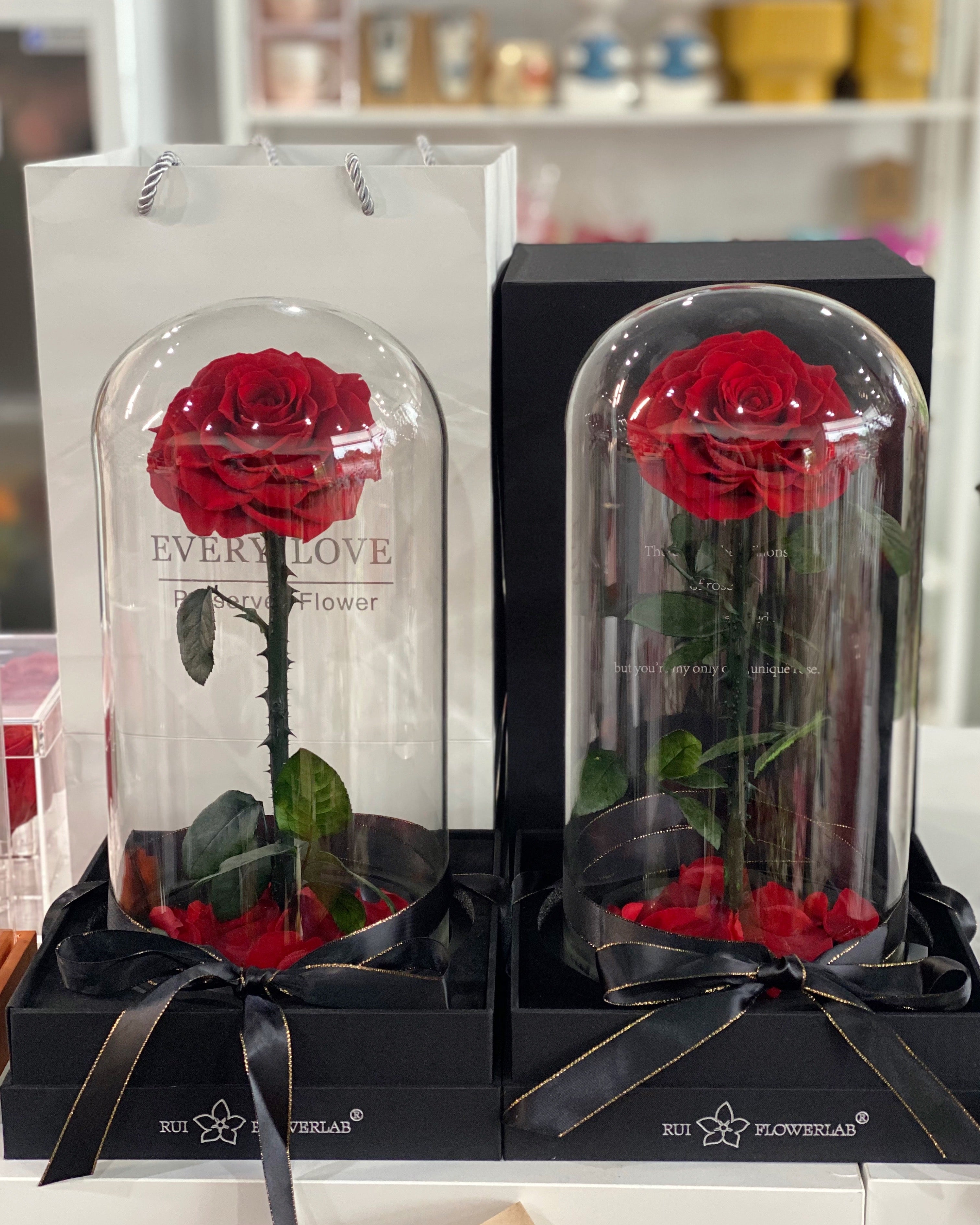 Everlasting Single Rose Red - Vermont Florist