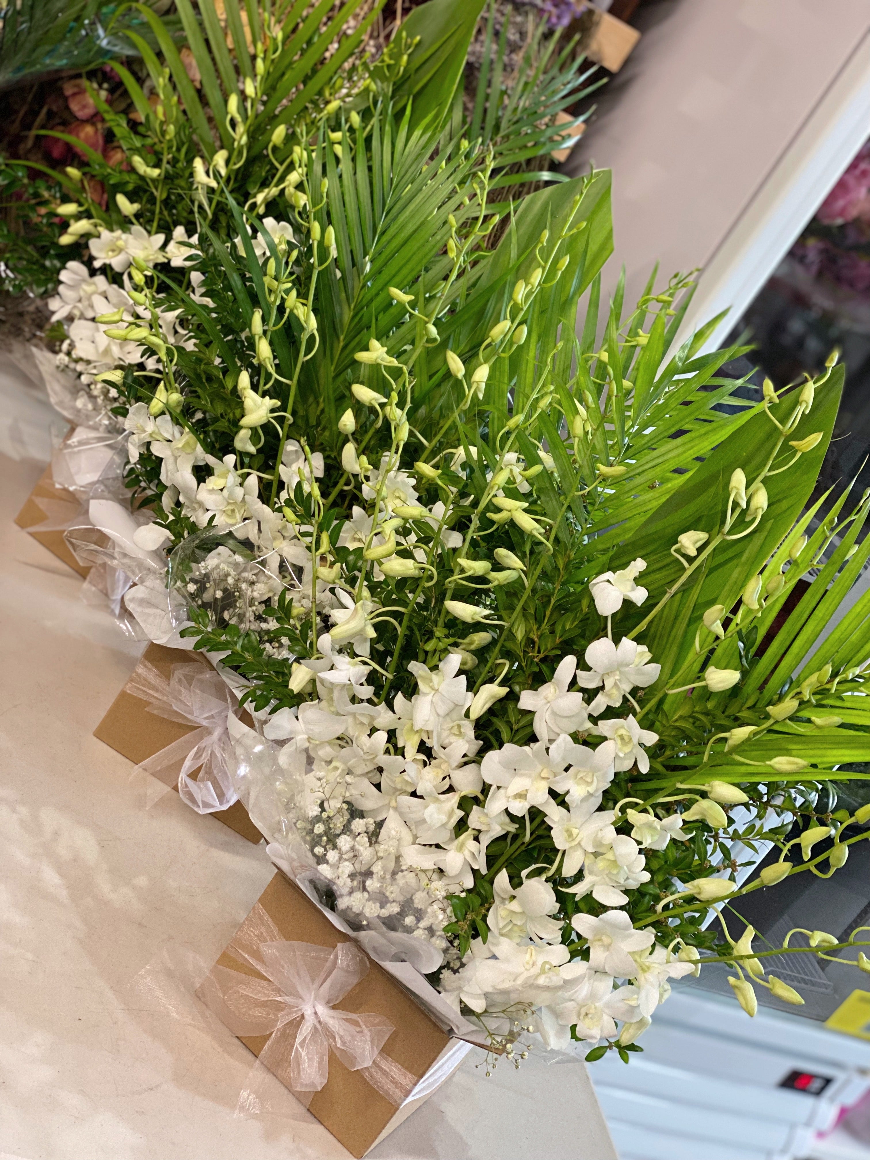 White Singapore orchid box arrangement Large - Vermont Florist